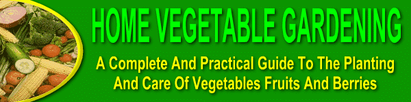 vegtop3 768
