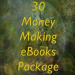 30 Money Making eBooks Package