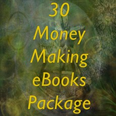 30 Money Making eBooks Package