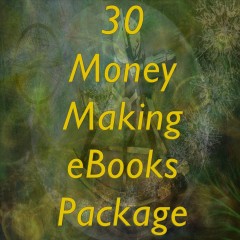 30 Money Making eBooks Package