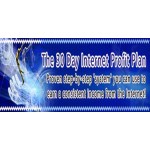The 30 Day Internet Profit Plan