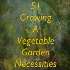 51 Growing A Vegetable Garden Necessities