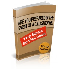 The Basic Survival Guide