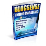 Blog Sense - The Insider Secrets To Making Your Blog Pay