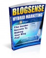 Blog Sense - The Insider Secrets To Making Your Blog Pay