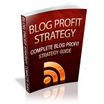 Blog Profit Strategy