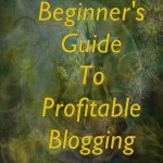 Beginners Guide To Profitable Blogging