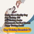 Dog Training Essentials V1