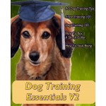 Dog Training Essentials V2