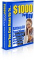 $1000 Per Day