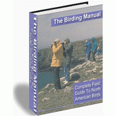 Birding For Everyone
