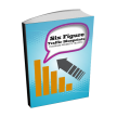 100k Web Traffic Blueprints