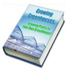 Growing Plants In Your Own Greenhouse