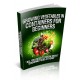 Growing Vegetables In Containers For Beginners