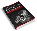 Making Money With The Public Domain