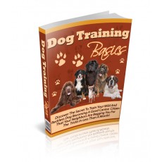 Dog Training Basics
