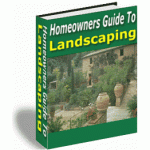 Home Owners Guide To Landscaping